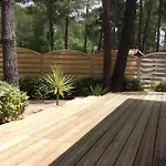 Maison, Piscine Sous Les Pins Moliets-et-Maa