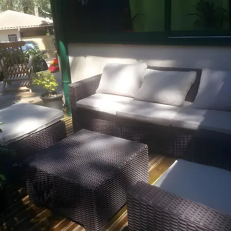 Maison, Piscine Sous Les Pins *