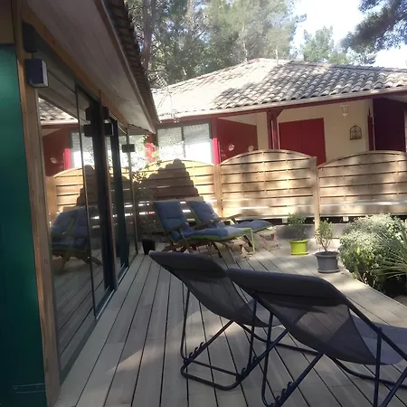 Maison, Piscine Sous Les Pins *