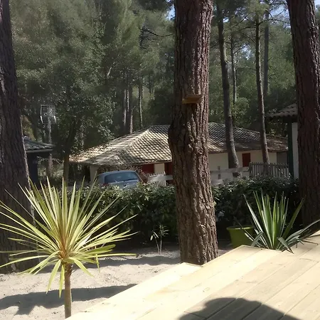 Maison, Piscine Sous Les Pins Dom wakacyjny Moliets-et-Maa