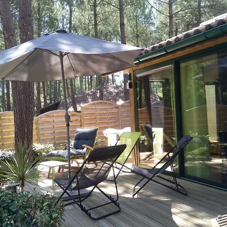 Maison, Piscine Sous Les Pins