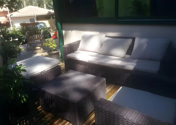 Maison, Piscine Sous Les Pins Feriehus *