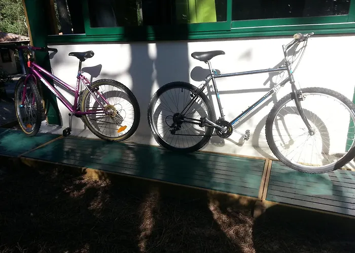 Maison, Piscine Sous Les Pins *